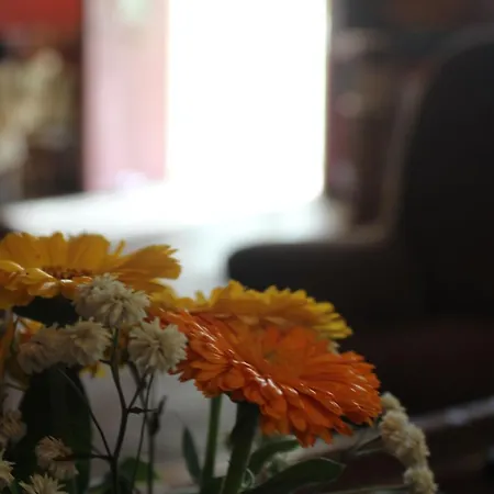 Les Cremades Bed & Breakfast