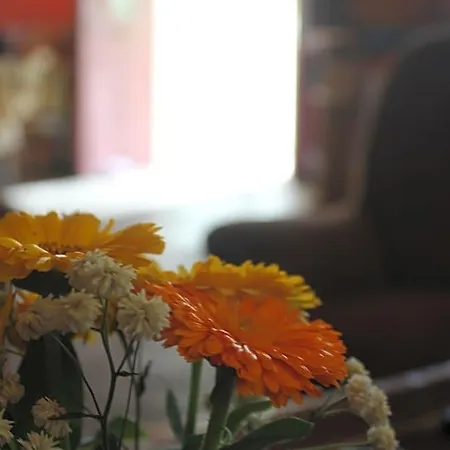 Bed & Breakfast Les Cremades