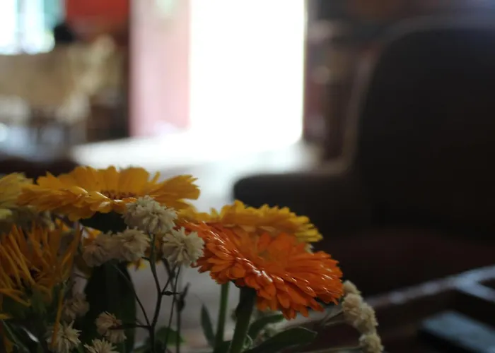 Les Cremades Bed & Breakfast